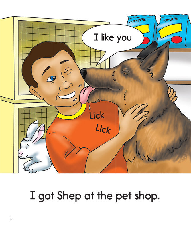 Phonics Readers Set 2