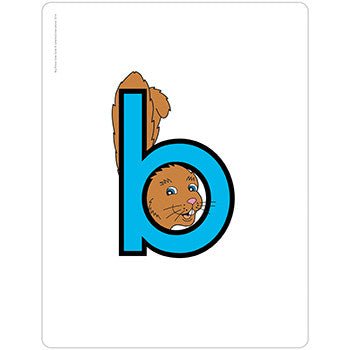 Big Picture Code Cards - Letterland Canada